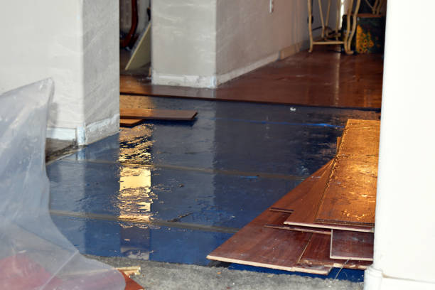 Professional Water Damage technician working in Castell, TX